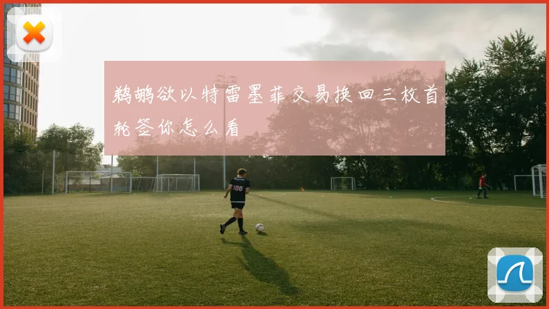 鹈鹕欲以特雷墨菲交易换回三枚首轮签你怎么看
